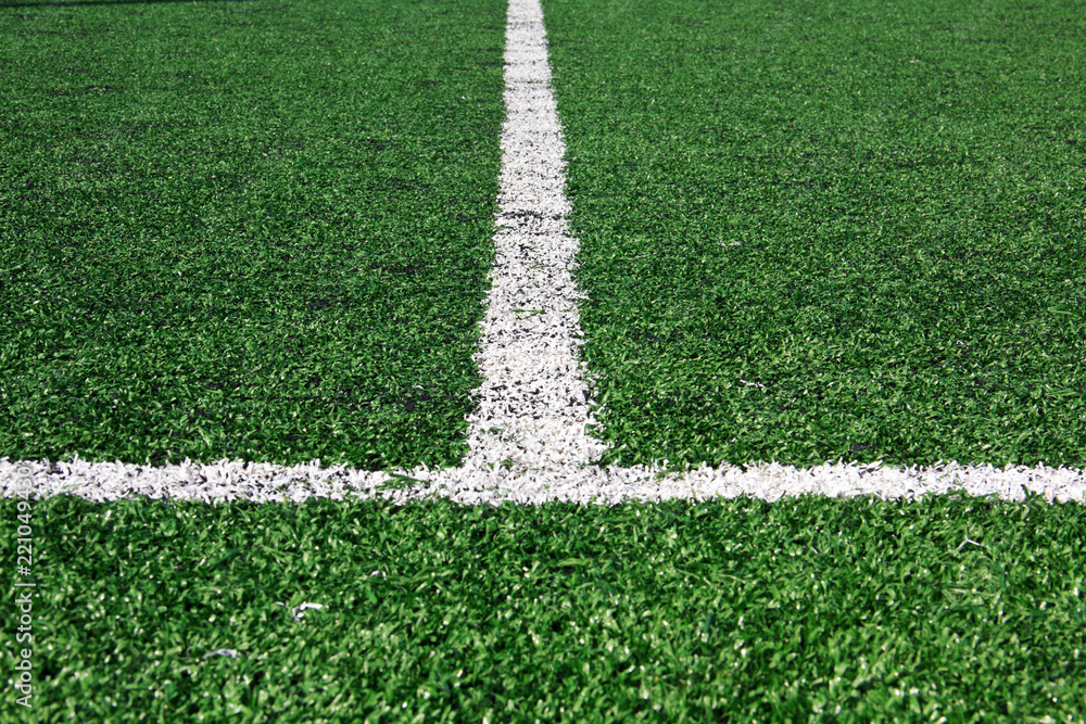 White line on Green grass sport field for sport.