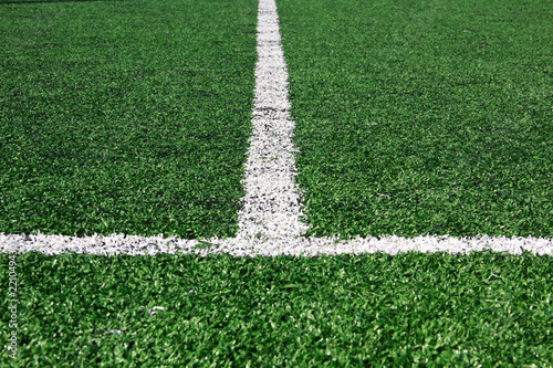White line on Green grass sport field for sport.