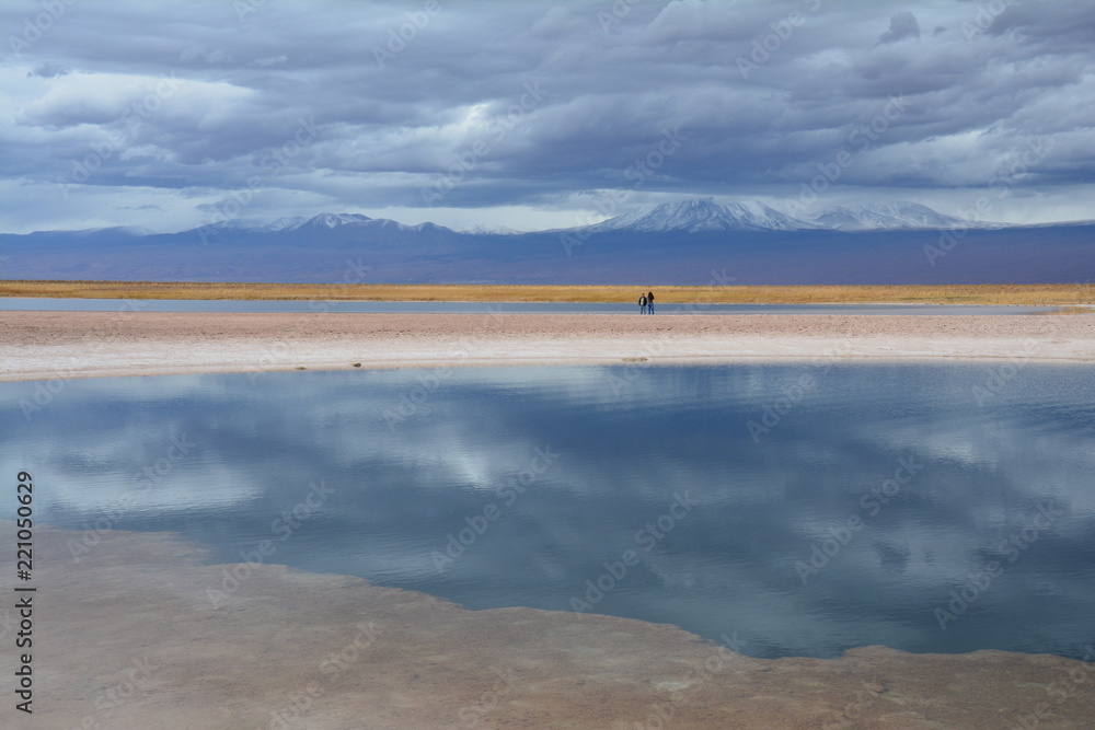 Laguna Cejar Atacama Chile - Cejar Lagoon Atacama Chile