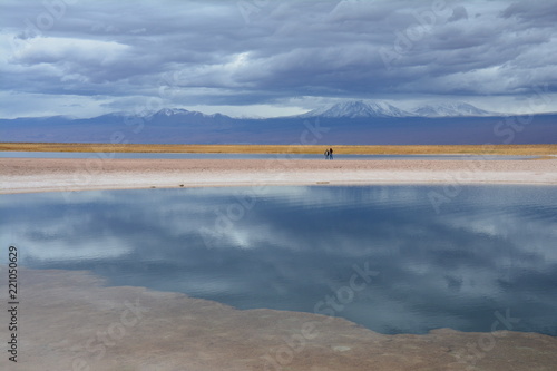 Laguna Cejar Atacama Chile - Cejar Lagoon Atacama Chile