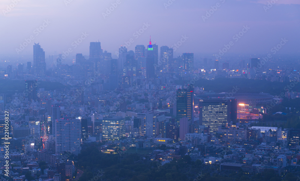 Obraz premium 東京風景・トワイライト・新宿方面