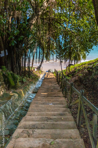 CAMINHO PARA A PRAIA DO CACHORRO - NORONHA