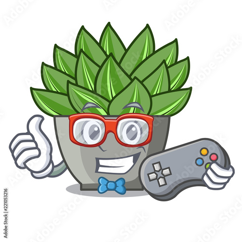 Gamer cartoon echeveria cactus plant at winter
