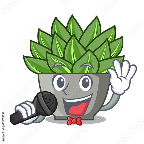 Singing cartoon echeveria cactus plant at winter