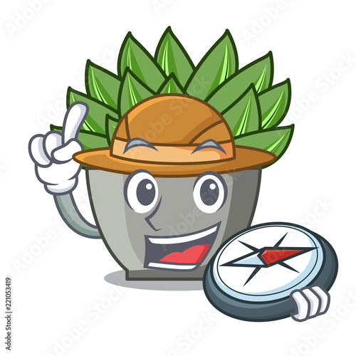 Explorer cartoon echeveria cactus plant at winter