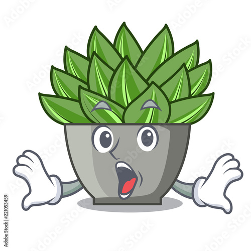 Surprised cartoon echeveria cactus plant at winter