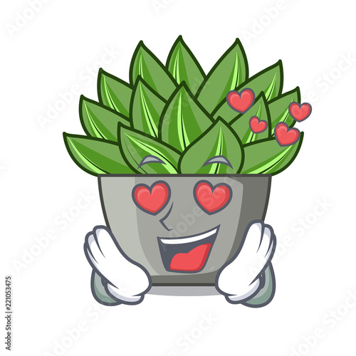In love cartoon echeveria cactus plant at winter