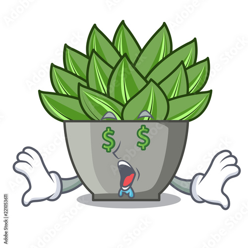 Money eye cartoon echeveria cactus in cactus garden