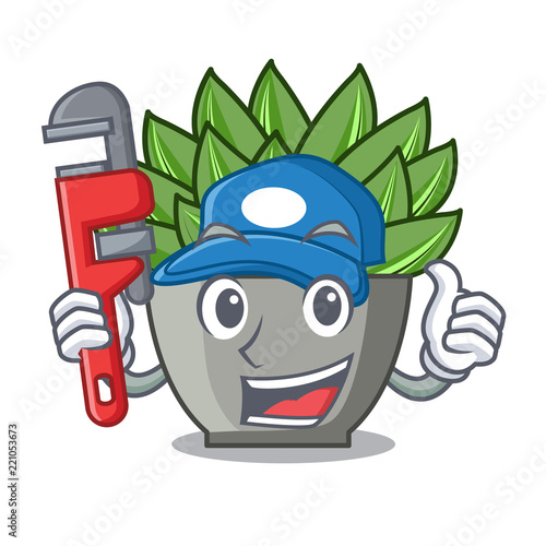 Plumber cartoon echeveria cactus in cactus garden
