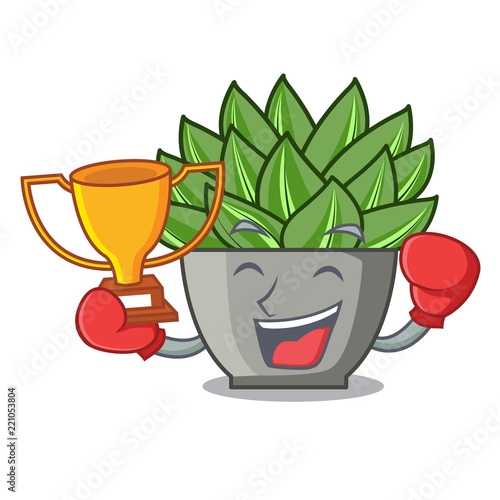 Boxing winner cartoon echeveria cactus in cactus garden