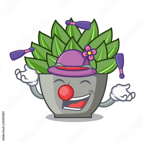 Juggling cartoon echeveria cactus in cactus garden