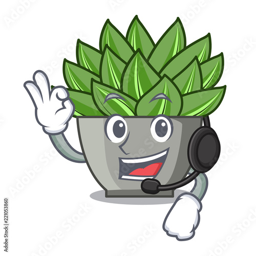 With headphone cartoon echeveria cactus in cactus garden