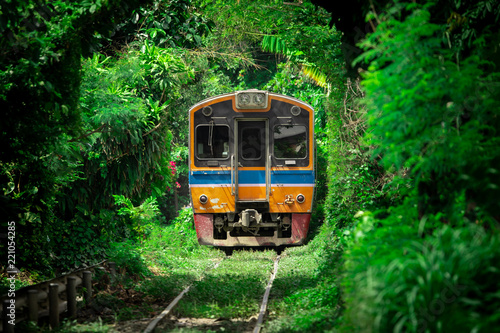 Vintage Train Running Through Tunnel Naturally Created From Trees Along the Railway. Amazing Scenery in Bangkok, Thailand.