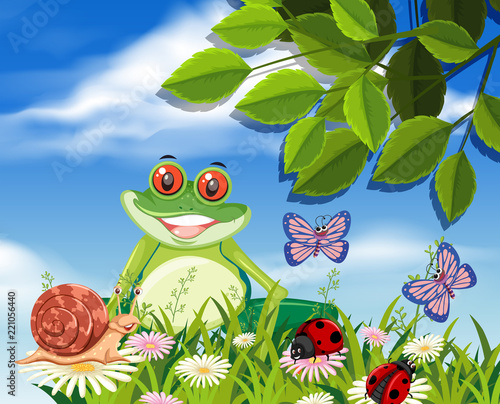 Red eyed tree frog in nature