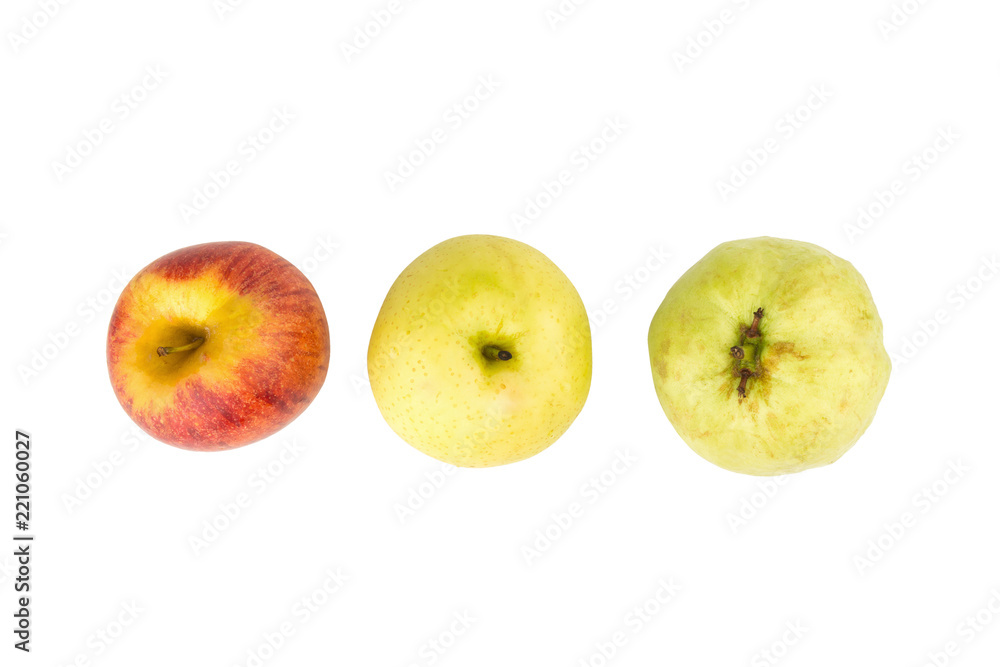 fruit traffic light concept. apple red. chinese pear yellow. guava green. isolated on white background fruit traffic light concept. apple red. chinese pear yellow. guava green. isolated on white background