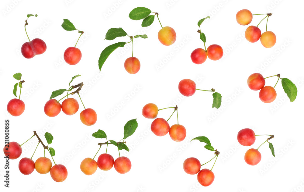 Plums isolated on white, top view Plums isolated on white, top view