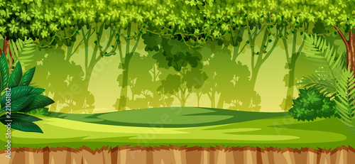 A green jungle landscape