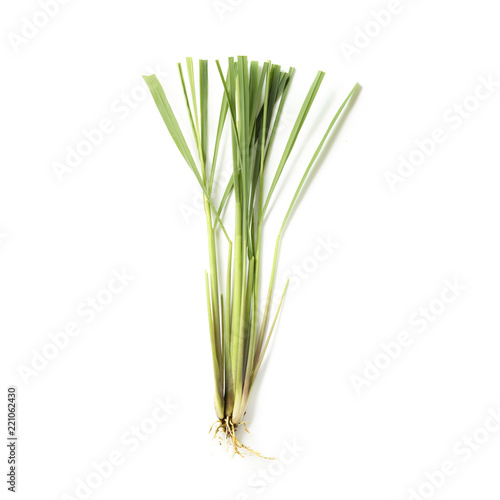 Lemongrass herb on white background