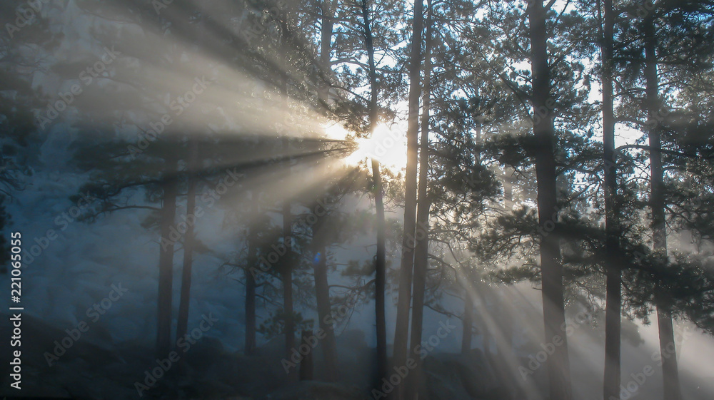 Obraz premium Sunlight breaking though fog