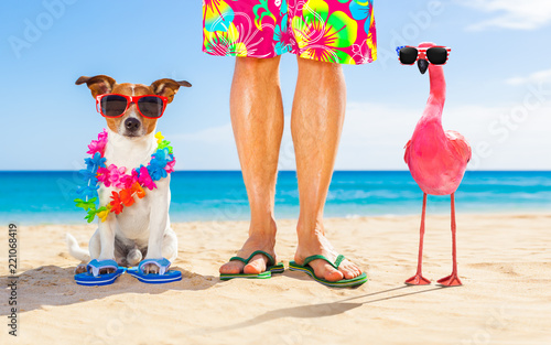 dog and owner on summer vacation photo