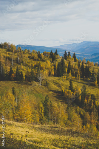 European mountains. Carpathians. Autumn forest.