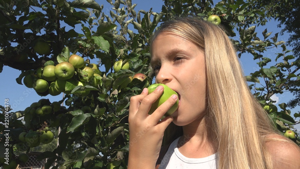 Child Eating Apple in Orchard, Country Kid Tasting Fruits, Girl in Tree Village Child Eating Apple in Orchard, Country Kid Tasting Fruits, Girl in Tree Village
