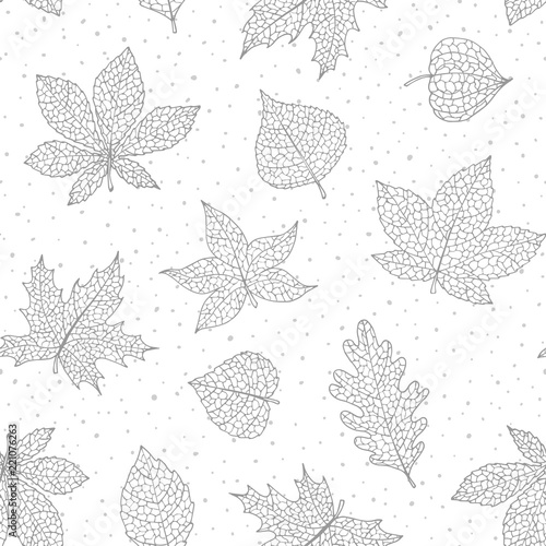 Vector autumn seamless pattern with oak, poplar, beech, maple, aspen and horse chestnut leaves and physalis of gray color on the white dotted background. Fall ornament with detailed foliage.