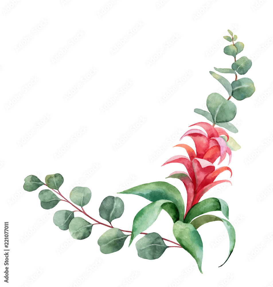 Watercolor vector branches with green eucalyptus and exotic flower.