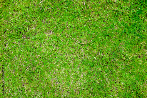 green lawn be fresh for background. Top view