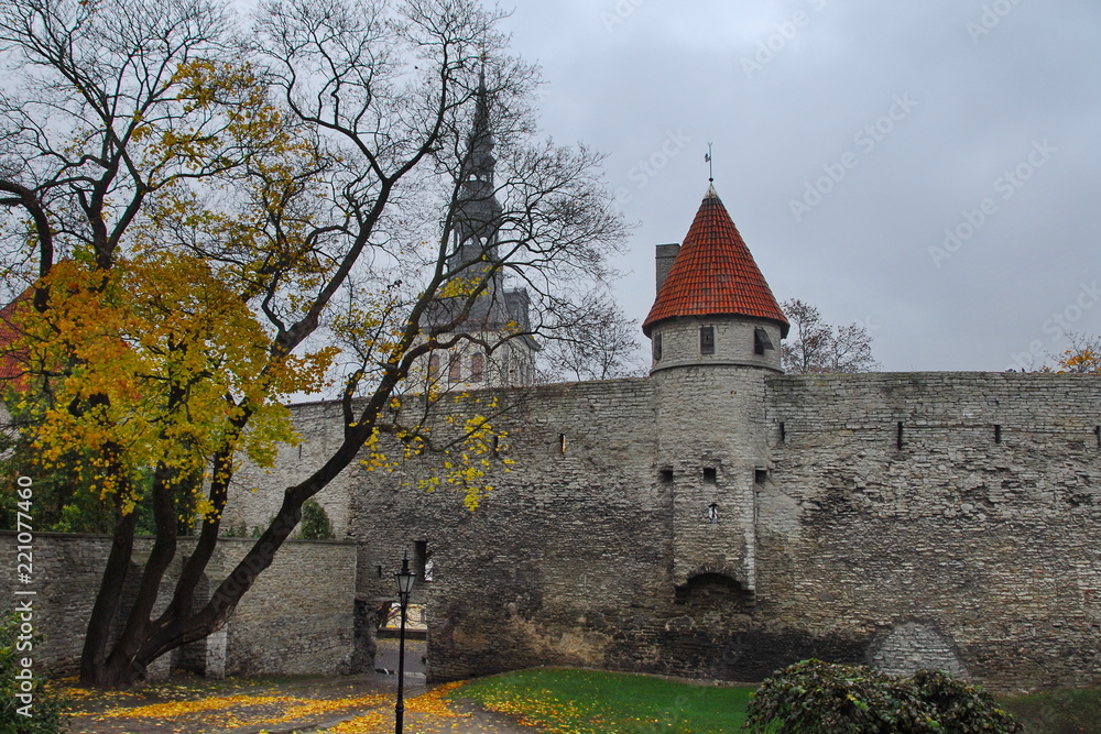 Autumn sketches at the fortress wall in Tallinn.