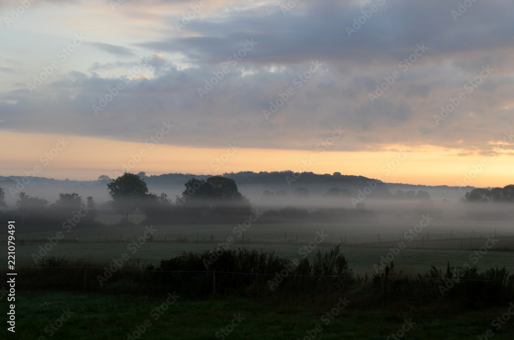 Fototapeta premium Landscape in morning fog.