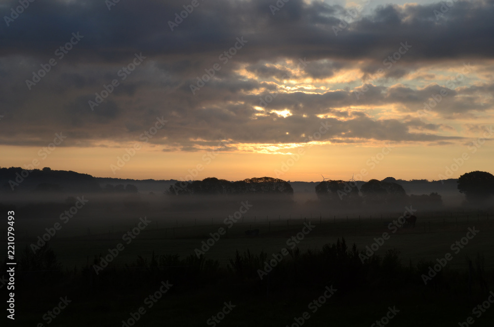Landscape in morning fog. Landscape in morning fog.