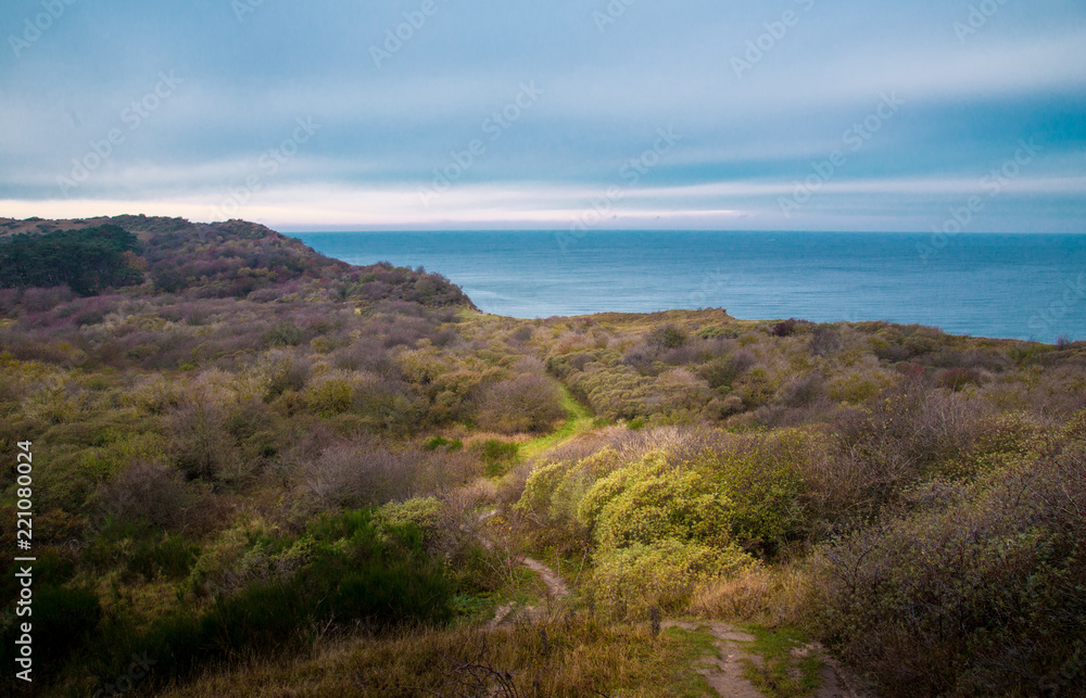 Blick vom Dornbusch aufs Meer 