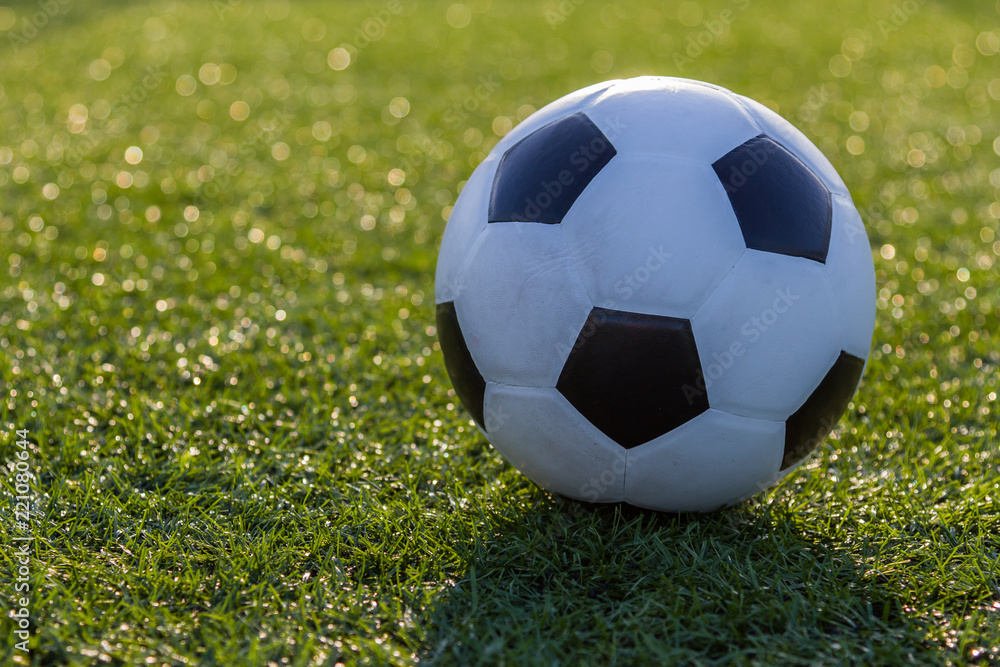 Soccer football on green grass before sunset