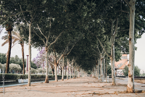 Riverside park in Sevilla.