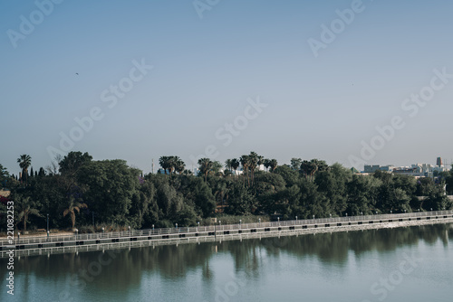 Green landscape in Sevilla.