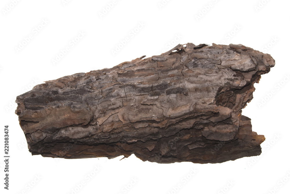 tree bark isolated on white background tree bark isolated on white background