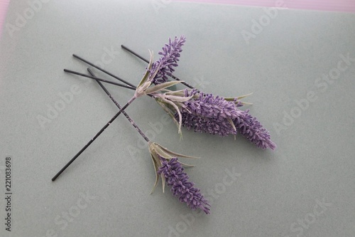 bunnch of lavender on a palin background, scented flower photo