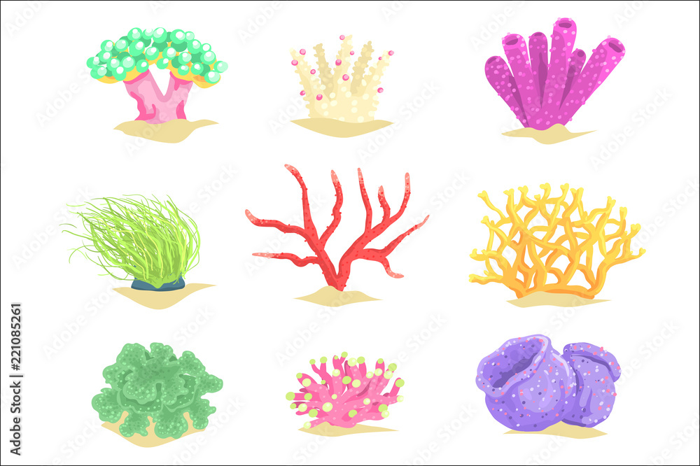Underwater plants set, seaweeds and aquatic marine algae vector Illustrations