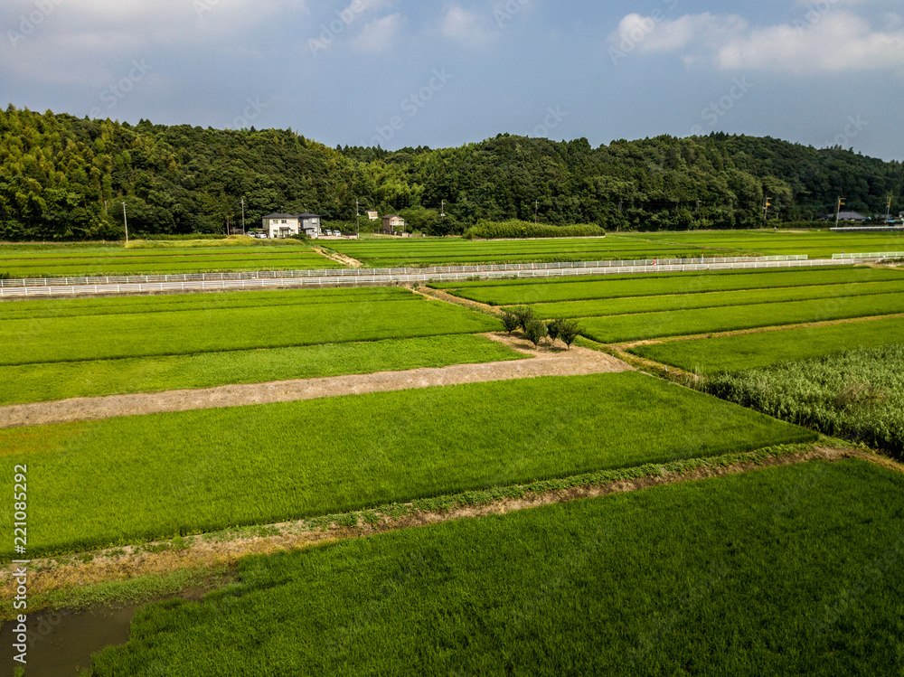 Agriculture landscape in Ibaraki of Japan_37