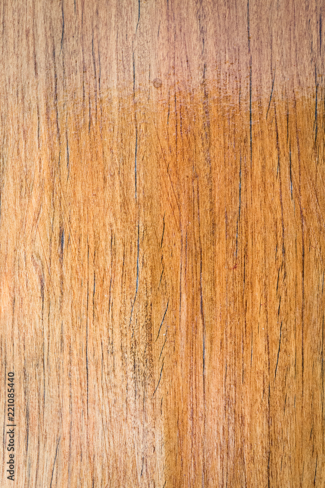 Nature wood texture Nature wood texture