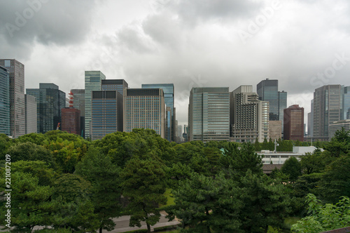 Tokyo cityscape with lush green trees on the foreground © Olga K