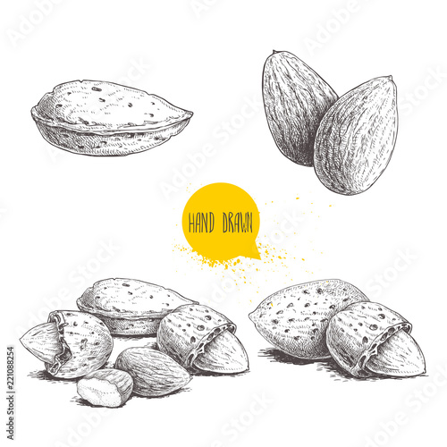 Hand drawn sketch style almond set. Single, group seeds and almond in nutshells group. Organic food, vector illustrations collection isolated on white background.