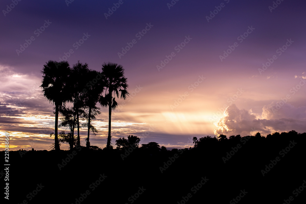 Colorful dramatic sky with cloud at sunset.Sky with sun background
