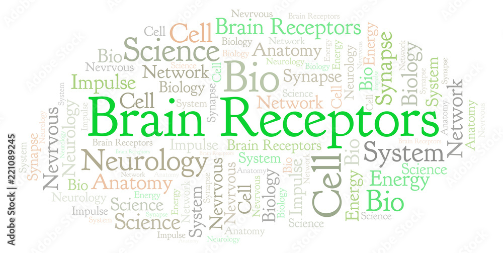 Obraz premium Brain Receptors word cloud.