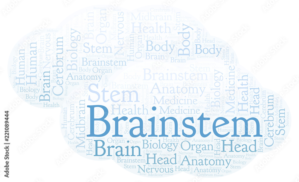 Fototapeta premium Brainstem word cloud.