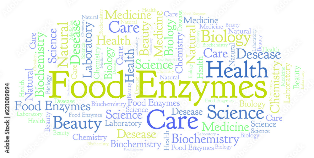 Fototapeta premium Food Enzymes word cloud.