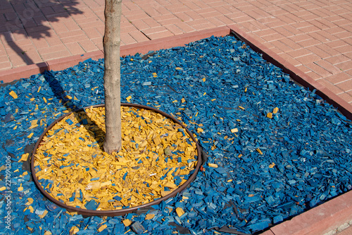 City decor in the design of flower beds and plots - a natural pine chip - mulch. A flowerbed covered with bright blue and yellow mulch. Trunks of trees with a decorative wooden chips. © Andrii Chagovets