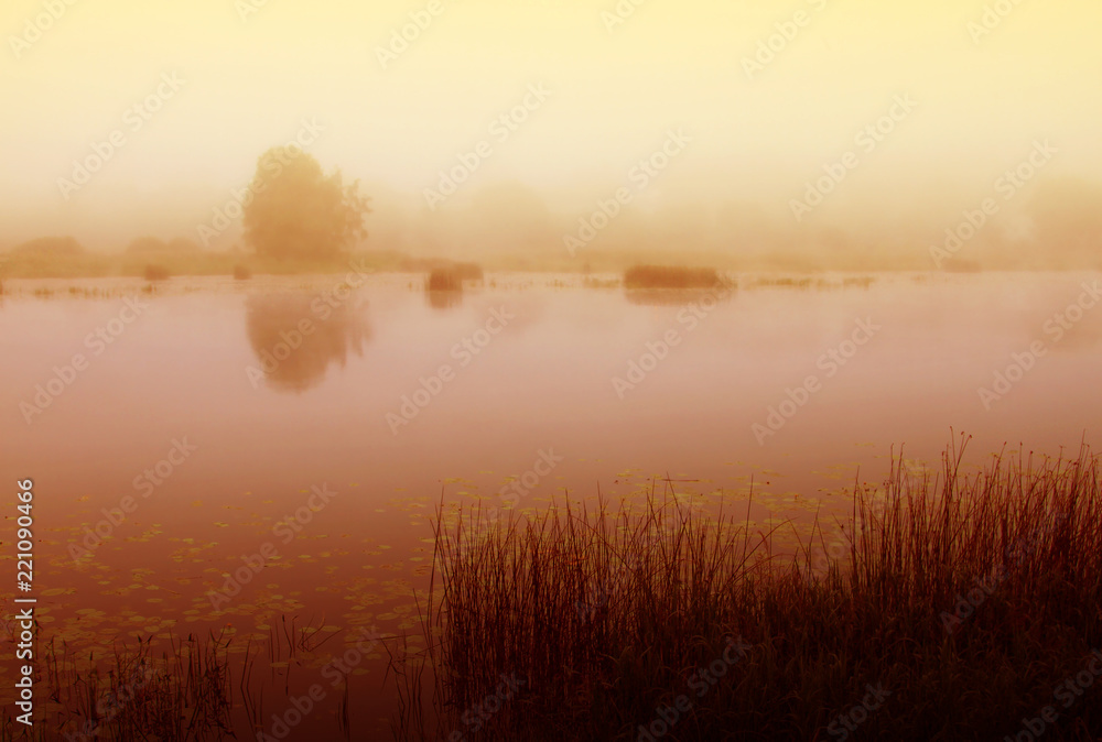 Obraz premium Summer misty sinrise on river