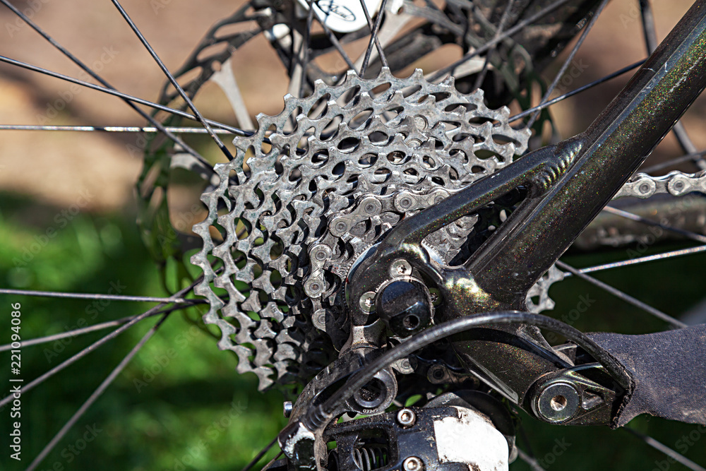Fototapeta premium Zahnradkranz eines Mountainbikes